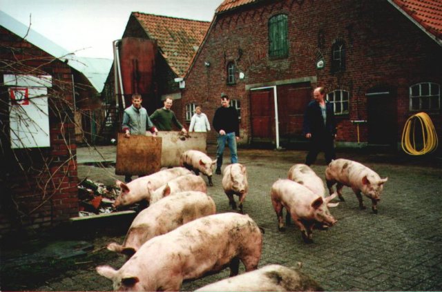 huis_002.jpg